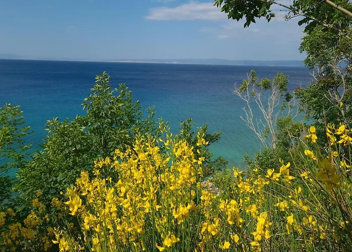 Studio Apartman Stara Baska